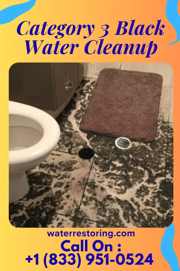 Category 3 Black Water Cleanup in Carlisle, AR
